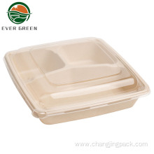 Disposable sugarcane bagasse 3 compartments food container